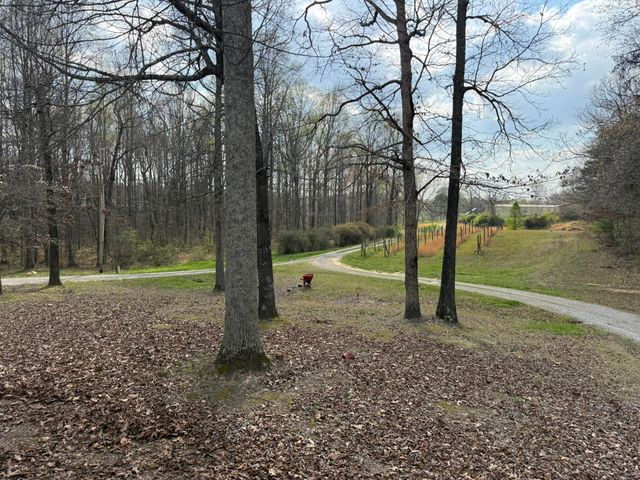1932 Co Rd 89, Bryant, AL 35958