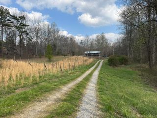 1932 Co Rd 89, Bryant, AL 35958