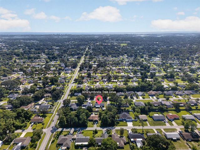 3012 UMBRELLA TREE DRIVE, Edgewater, FL 32141
