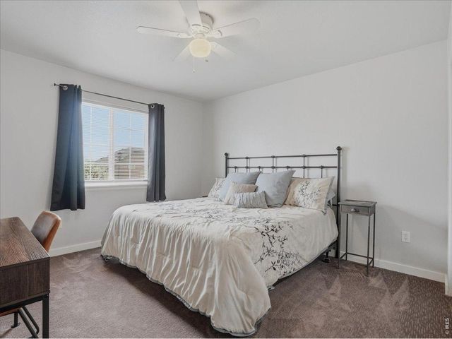 3325 Crazy Horse Dr, Wellington, CO 80549