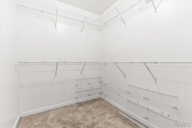 146 Tuscany Lane, Wentzville, MO 63385