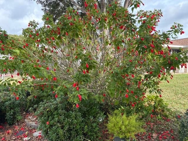 17747 SE 97TH AVENUE, Summerfield, FL 34491