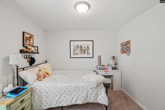 714 S Long Star Way, Elgin, SC 29045