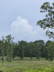 365 Shagbark Way, Harlem, GA 30814