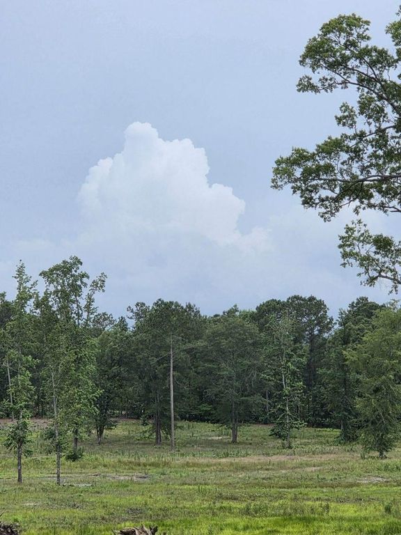 365 Shagbark Way, Harlem, GA 30814