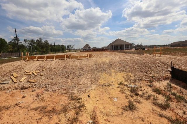 42813 Terraza Drive, Magnolia, TX 77354