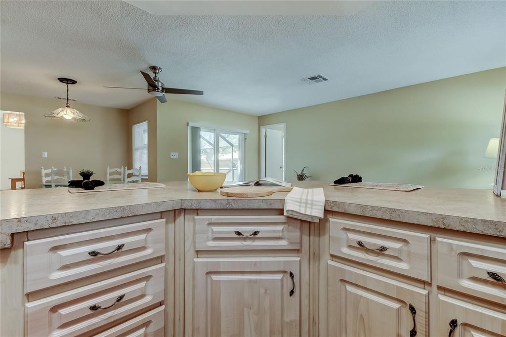 Image 40 of property listing at 101 NESTLEBRANCH DRIVE, Safety Harbor, FL 34695