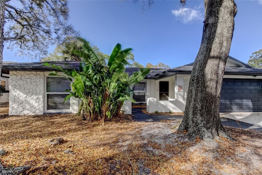 Image 77 of property listing at 101 NESTLEBRANCH DRIVE, Safety Harbor, FL 34695