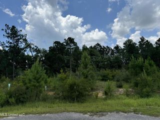 Longwood Lane, Gulfport, MS 39503