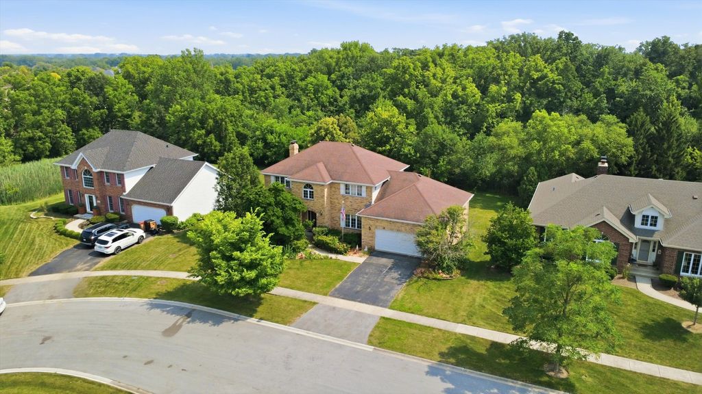 7651 Steeple Chase Drive, Frankfort, IL 60423