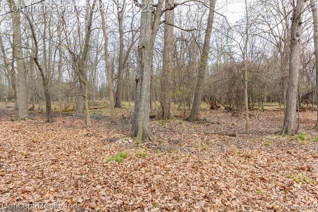 21247 Shurley Drive, Grosse Ile, MI 48138