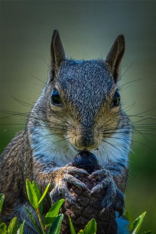 615 MIDWAY DRIVE B, Ocala, FL 34472