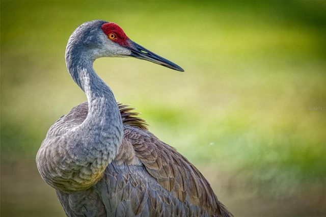 615 MIDWAY DRIVE B, Ocala, FL 34472