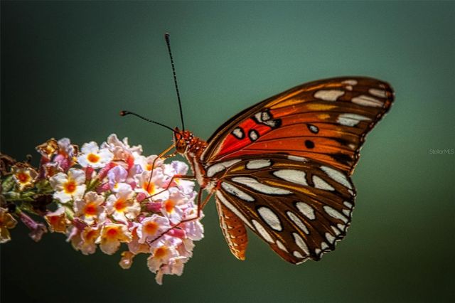 615 MIDWAY DRIVE B, Ocala, FL 34472