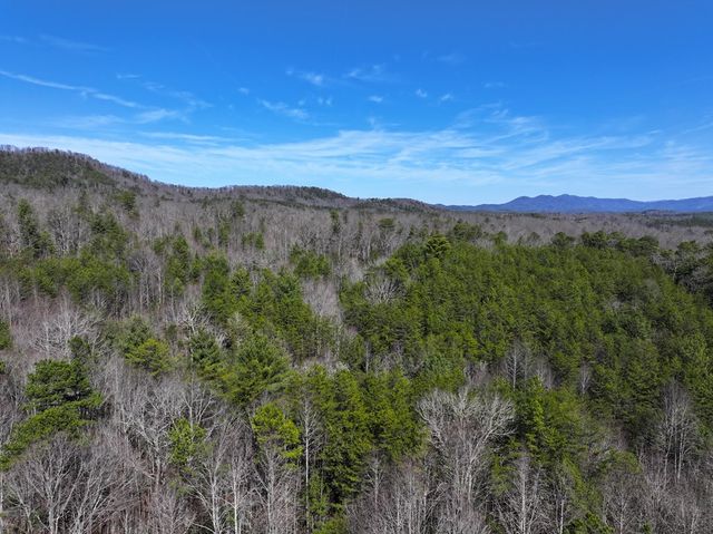 0 Meredith Drive, Turtletown, TN 37391