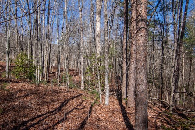 0 Meredith Drive, Turtletown, TN 37391