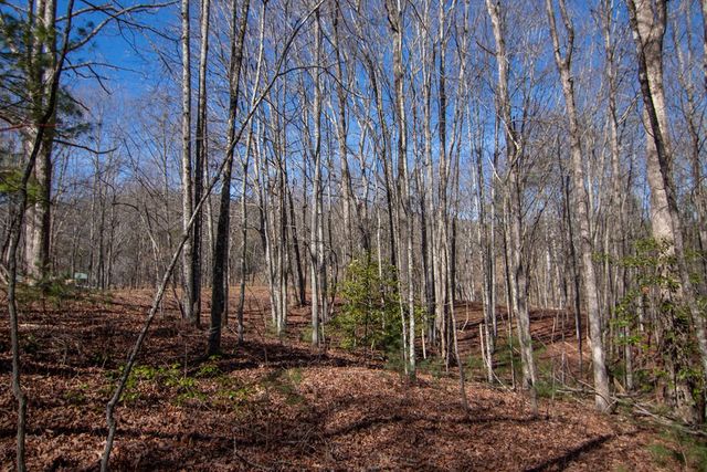 0 Meredith Drive, Turtletown, TN 37391