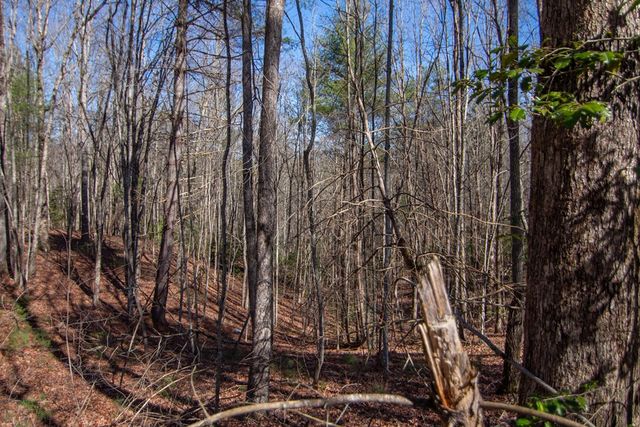0 Meredith Drive, Turtletown, TN 37391