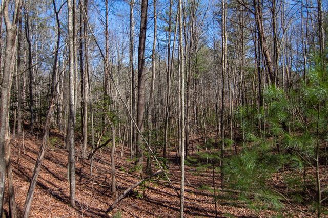 0 Meredith Drive, Turtletown, TN 37391