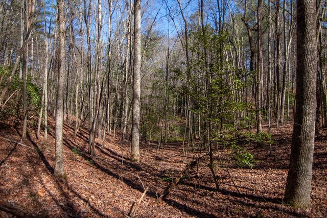 0 Meredith Drive, Turtletown, TN 37391