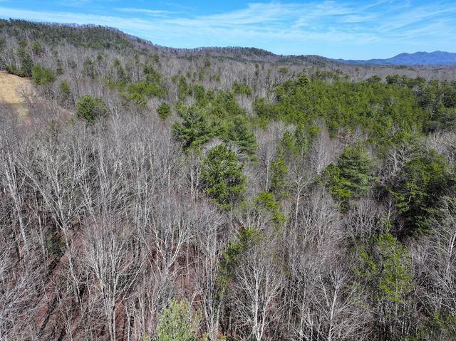 0 Meredith Drive, Turtletown, TN 37391