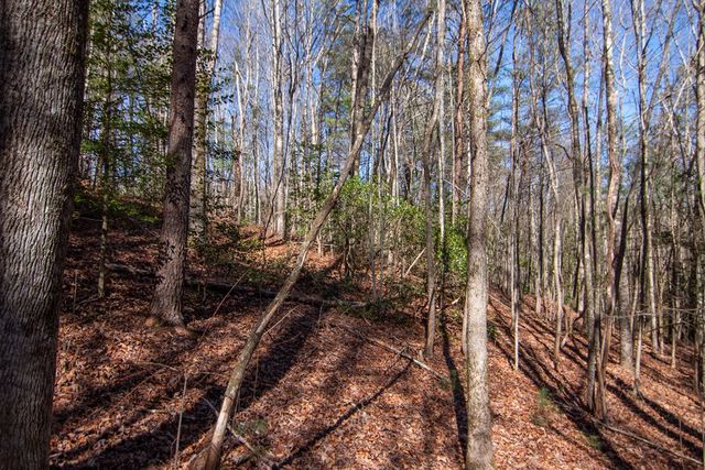 0 Meredith Drive, Turtletown, TN 37391