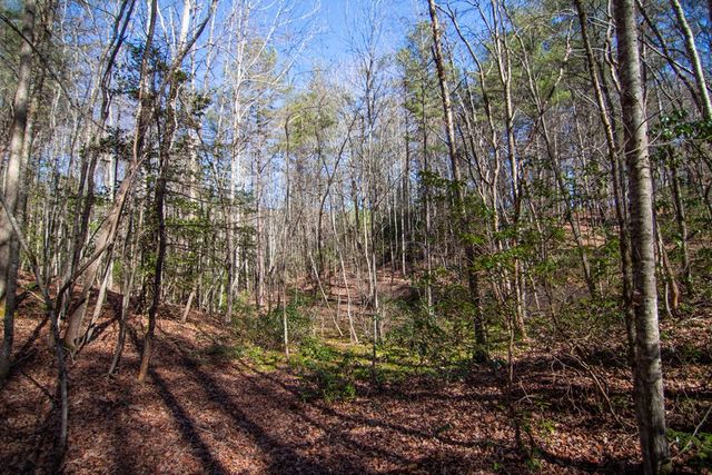 0 Meredith Drive, Turtletown, TN 37391