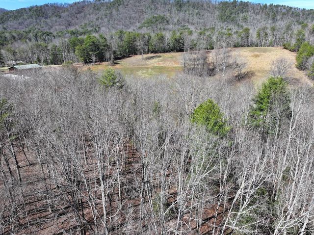 0 Meredith Drive, Turtletown, TN 37391