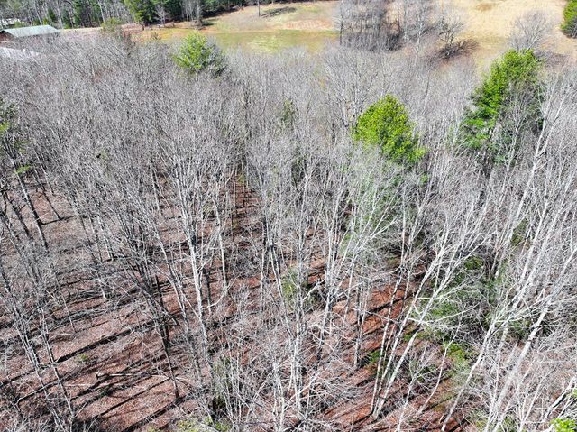 0 Meredith Drive, Turtletown, TN 37391