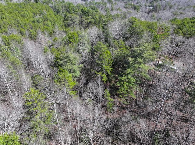 0 Meredith Drive, Turtletown, TN 37391