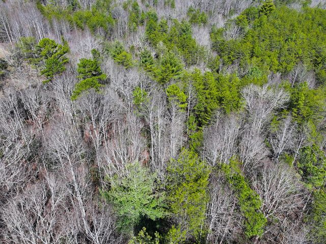 0 Meredith Drive, Turtletown, TN 37391