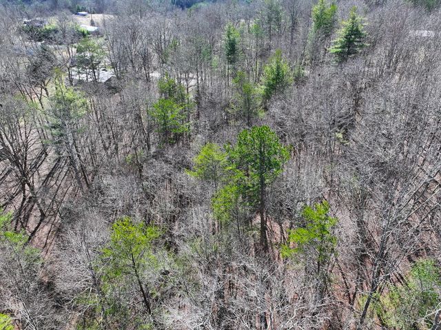 0 Meredith Drive, Turtletown, TN 37391