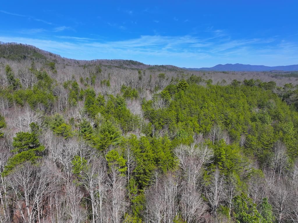 0 Meredith Drive, Turtletown, TN 37391