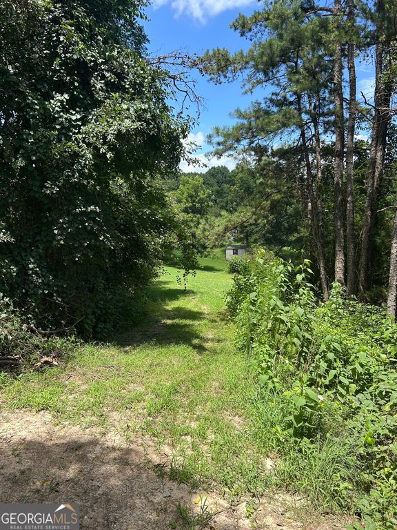 176 Bud Freeman Road, Royston, GA 30662 — photo 4