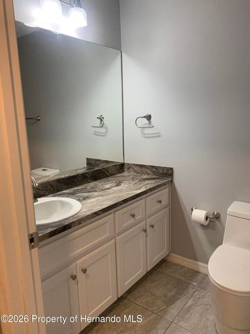11217 Roman Street, Spring Hill, FL 34609