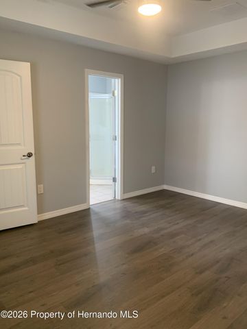 11217 Roman Street, Spring Hill, FL 34609