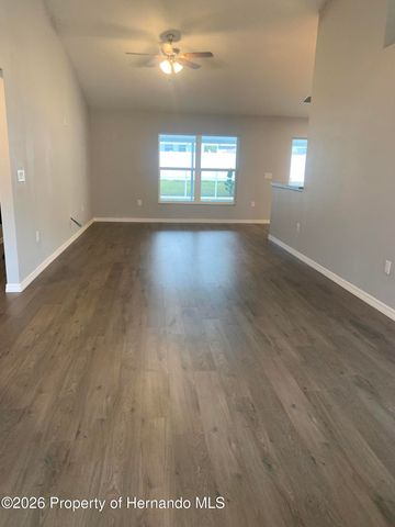 11217 Roman Street, Spring Hill, FL 34609