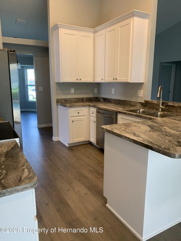 11217 Roman Street, Spring Hill, FL 34609