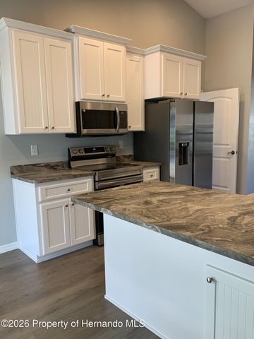 11217 Roman Street, Spring Hill, FL 34609
