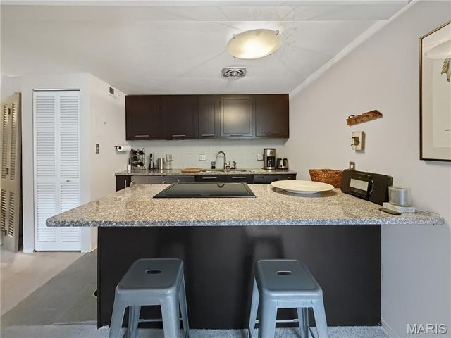 1523 S 10th Street 215, St Louis, MO 63104