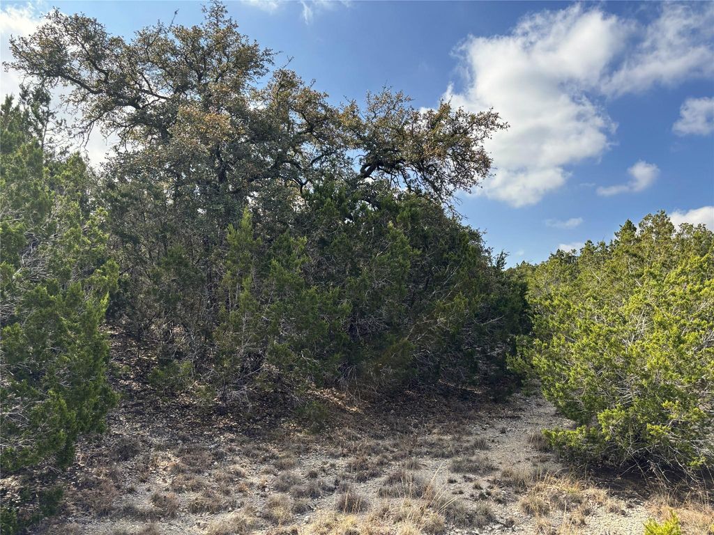 Tract 9 Burnet Oaks DR, Burnet, TX 78611