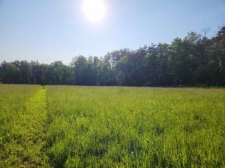 86 - 90 Wentworth Road 5-2 5-3, Walpole, NH 03608