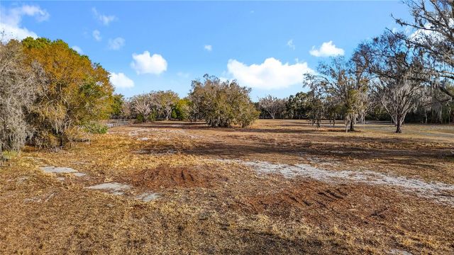 8804 MISTY MORNING TRAIL, Odessa, FL 33556