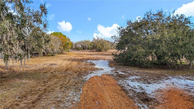 8804 MISTY MORNING TRAIL, Odessa, FL 33556