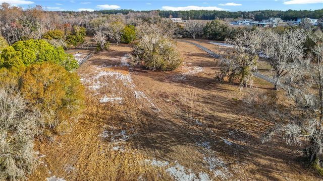 8804 MISTY MORNING TRAIL, Odessa, FL 33556