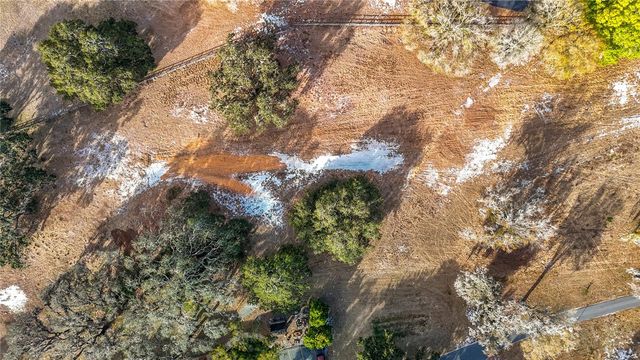 8804 MISTY MORNING TRAIL, Odessa, FL 33556