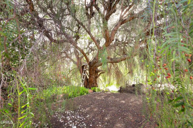 251 S Skyline Drive, Thousand Oaks, CA 91361