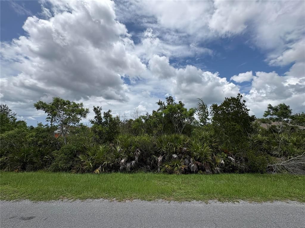 ORTEGA STREET Lot 291, Orlando, FL 32833