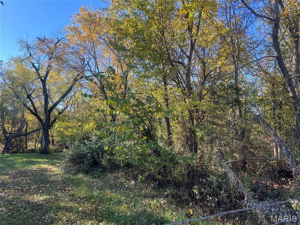 Image 3 of property listing at 722 E Bland Road, Lebanon, MO 65536