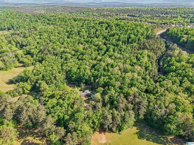 1680 HIGHWAY 174, Springville, AL 35146